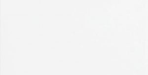 azulejo blanco 20x40